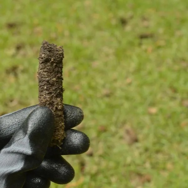 a plug from a core aeration