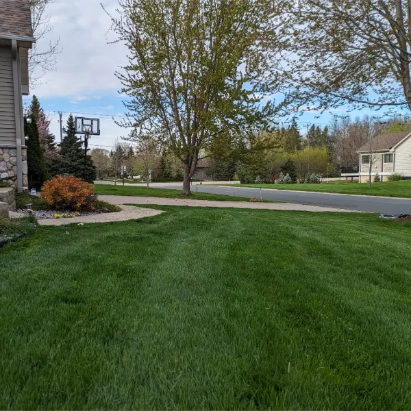 Fresh cut lawn in lino lakes mn